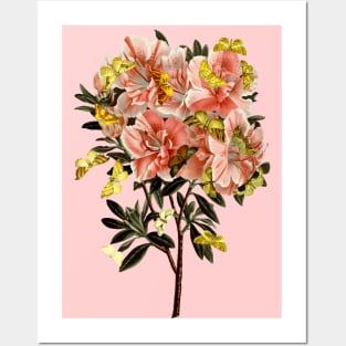 Pink azalea with yellow butterflies Posters and Art